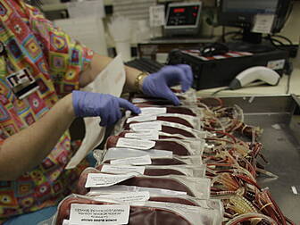 Are blood bags in a Barcelona...